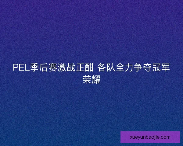 PEL季后赛激战正酣 各队全力争夺冠军荣耀
