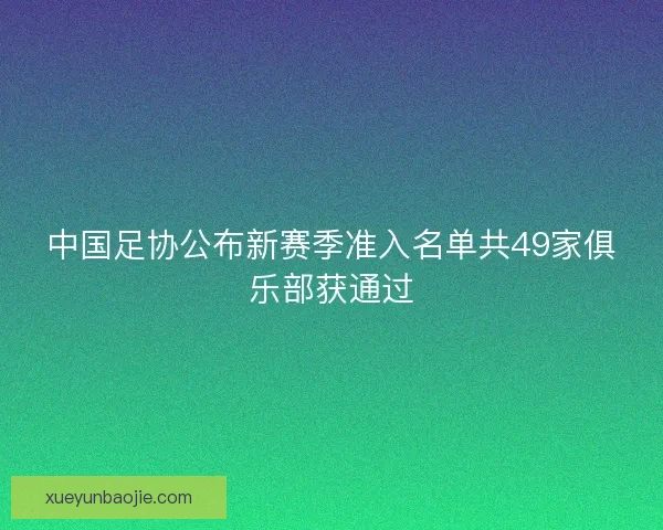 中国足协公布新赛季准入名单共49家俱乐部获通过